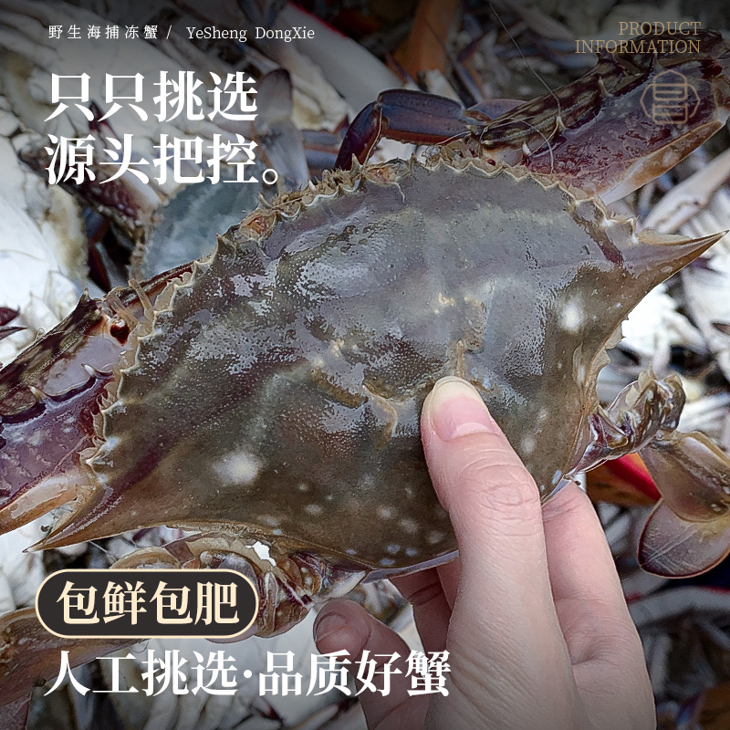 舟山深海冷冻梭子蟹：鲜美直达餐桌，一口咬下满口香！