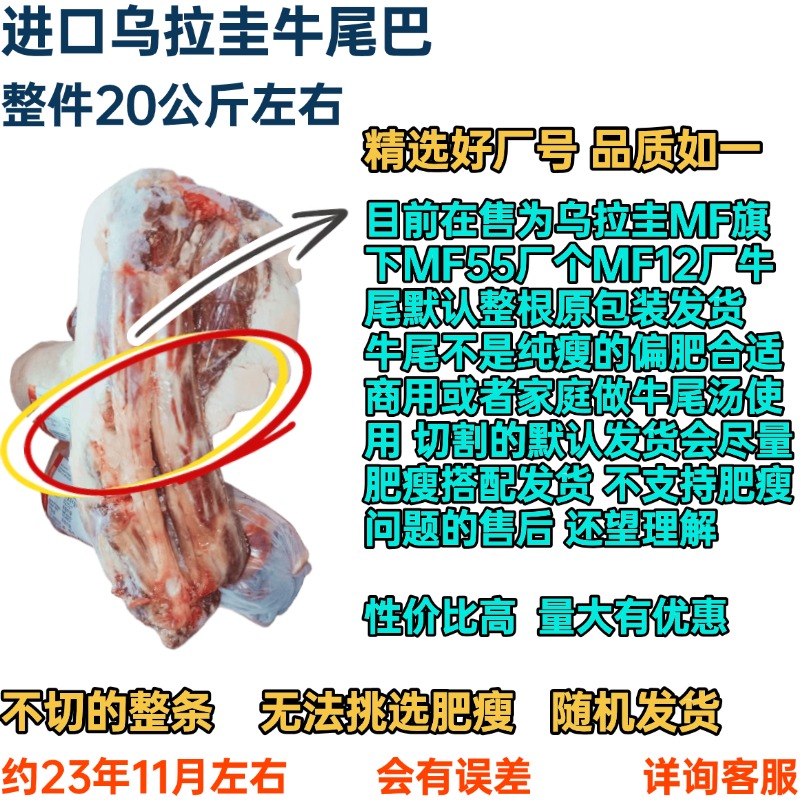新鲜去皮牛尾骨，乌拉圭进口，2斤装，如何在家烹饪出餐厅级美味？