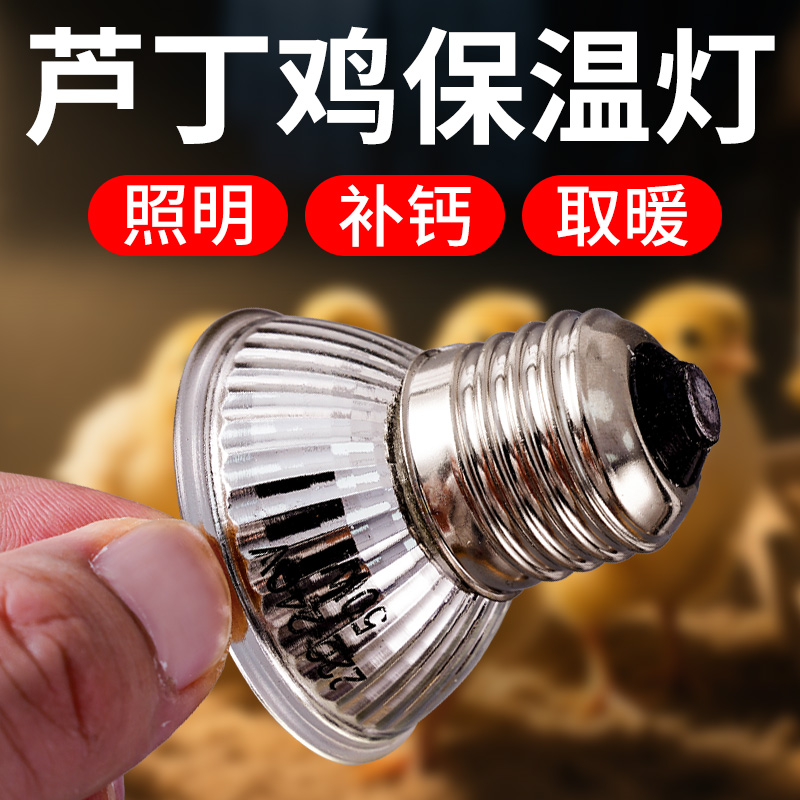芦丁鸡保温灯自动温控器：新手爸妈必备神器，轻松育雏无压力！