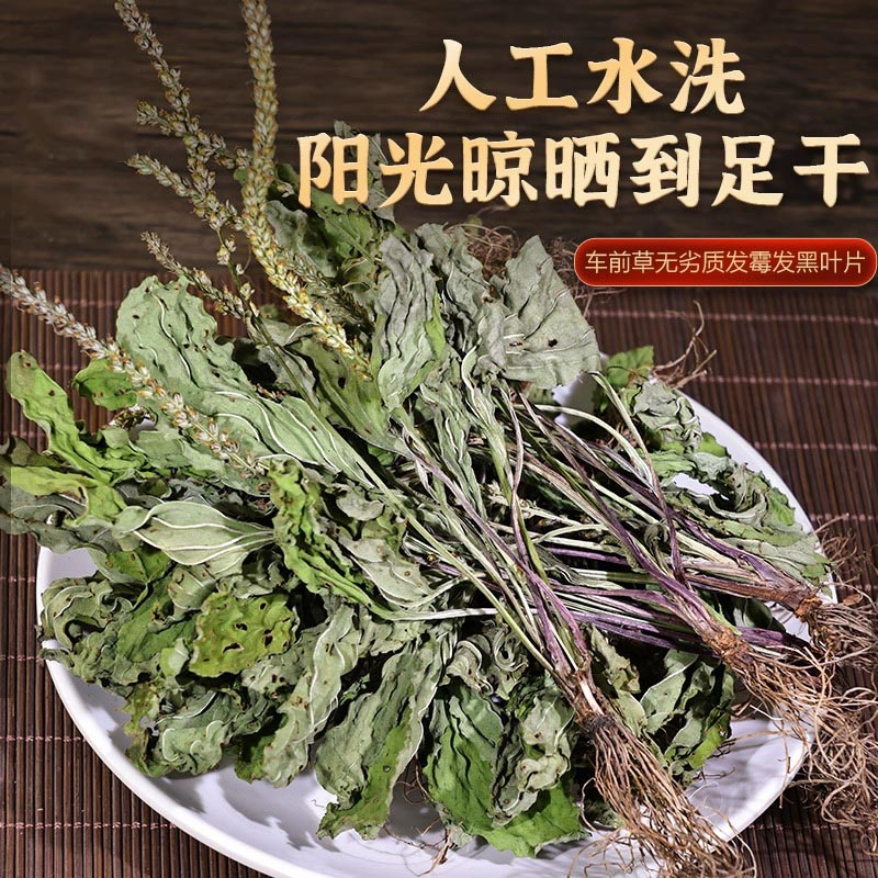 CYBERTEK知用光隔离电压探头：揭秘高性能测量利器，开启电子测试新纪元！
