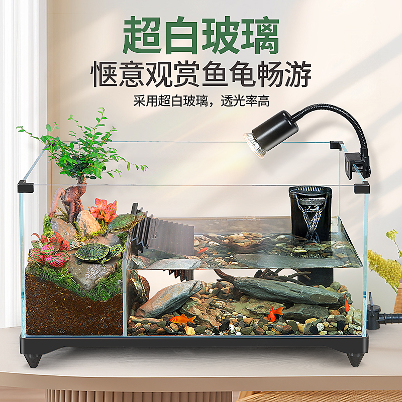 客厅里的自然奇观：乌龟缸高清玻璃生态造景，混养龟鱼缸一体，打造专属生态缸！