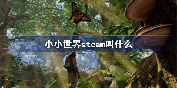 小小世界steam叫什么 小小世界英文名一览