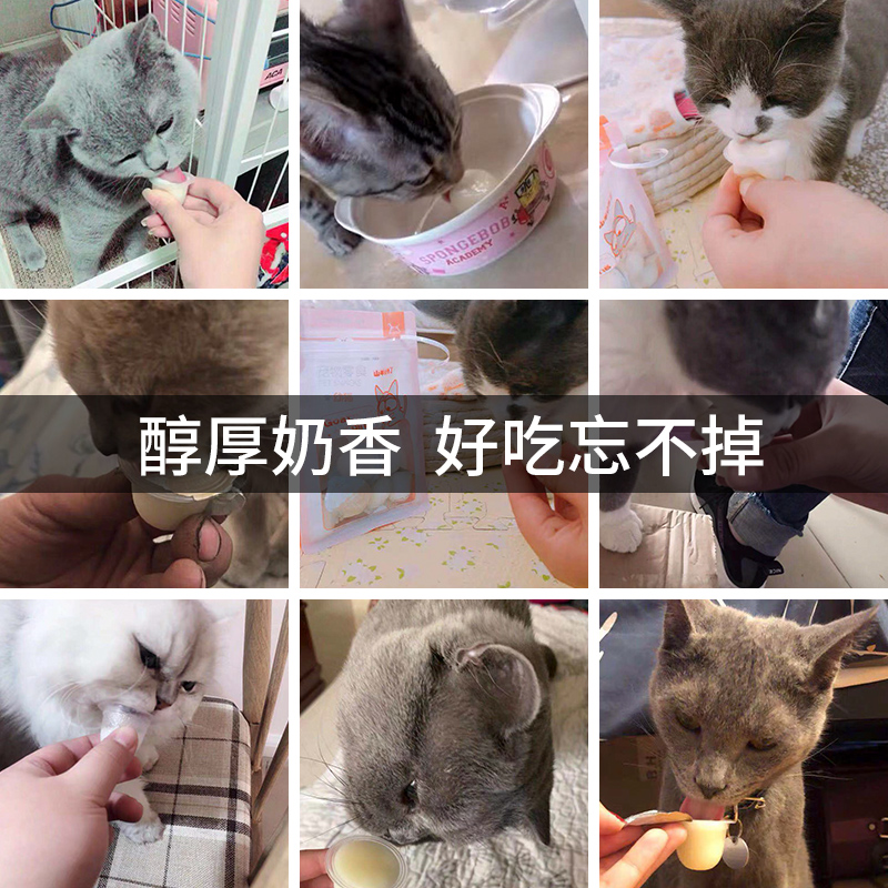 BOTH猫山羊奶布丁零食：猫咪界的“网红”零食，让你家小主子爱不释口！