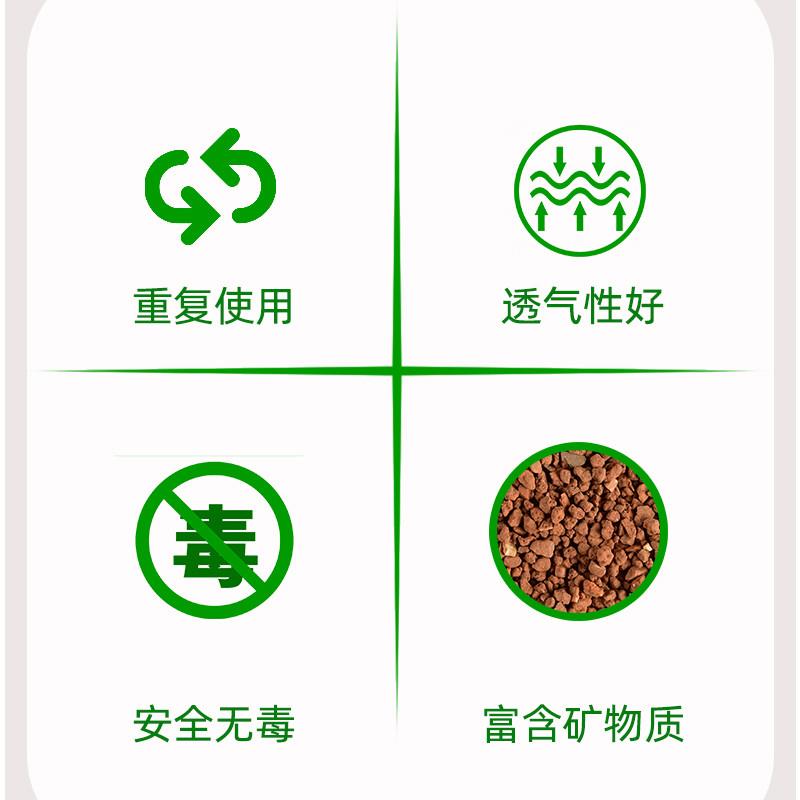 天然酸性红泥土：植物界的“魔法土壤”，打造盆栽茶花、杜鹃花、兰花的理想乐园！