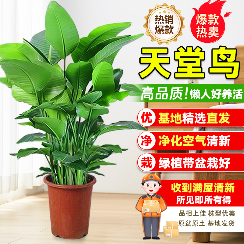 北京On昂跑实体店：跑步爱好者的天堂，真的值得冲吗？