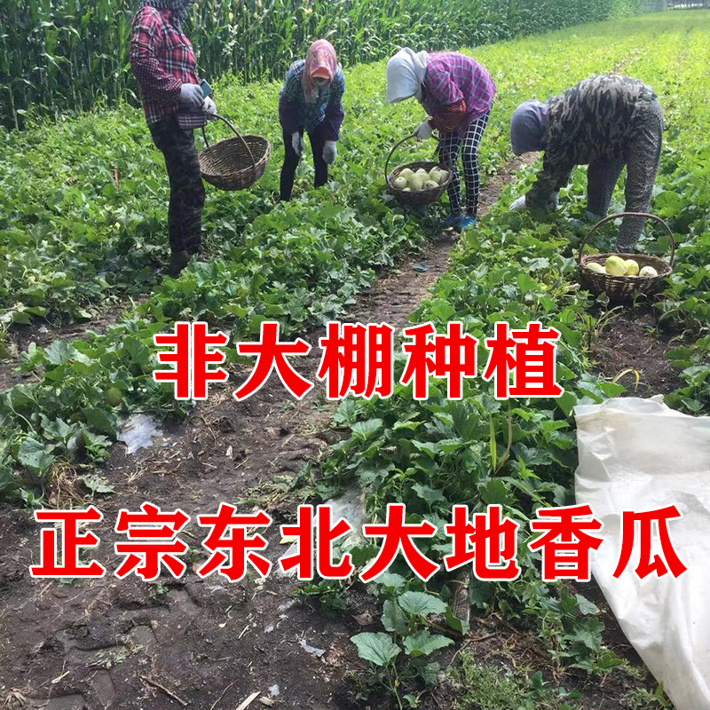 东北特产大放送！3份包邮，让你一次尝遍家乡味