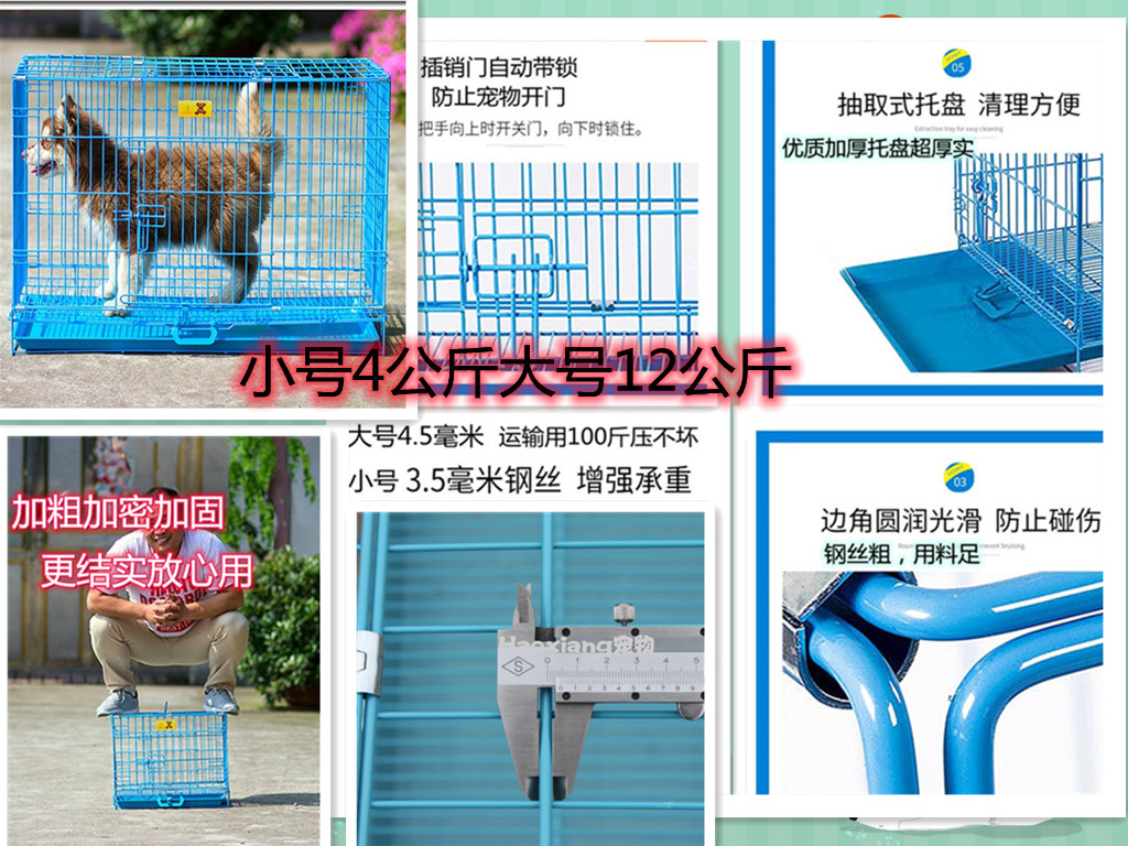 陕西犬舍金毛幼犬训练全攻略：打造赛级纯种宠物狗的秘诀！