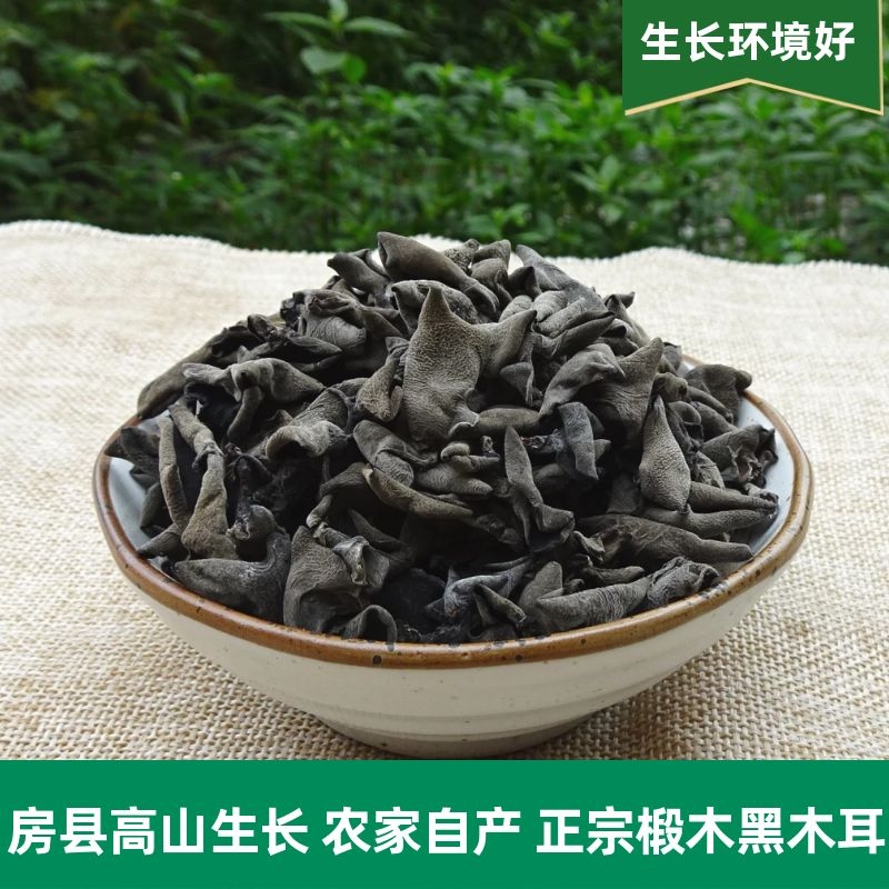 房县深山椴木黑木耳：非东北小碗耳，秋耳凉拌新宠！