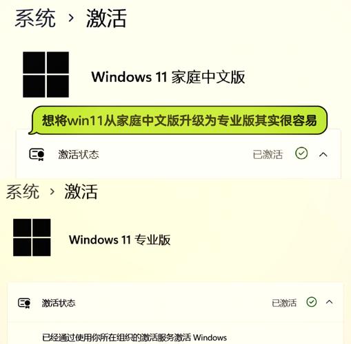 USB安装win11专业版