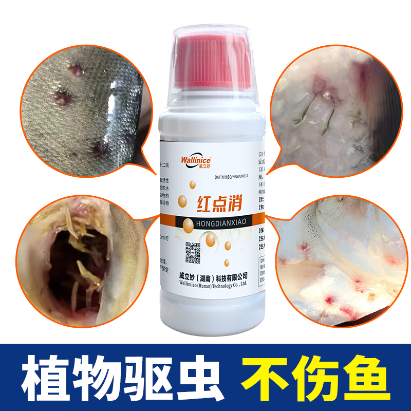 水产养殖鱼塘专用鱼池杀虫剂——敌百虫：对抗锚头鳋和锦鲤红点病的神器！