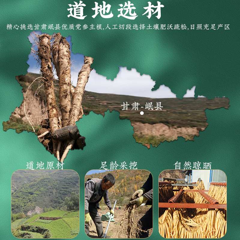 甘肃新货党参当参散装500g：农家种植，地道药材，养生必备！