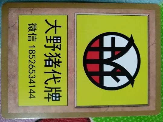 【大野猪代牌】万智牌白条 艾卓仙踪WOE 阿加莎的灵魂鼎镬 自制闪，收藏必备神器！