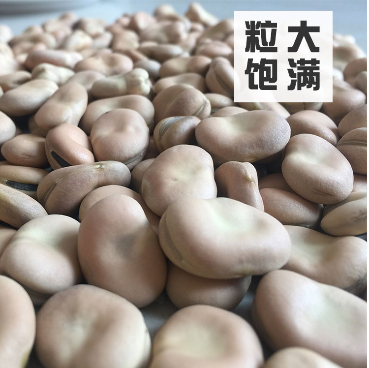 5斤装绿皮干蚕豆！发芽油炸超香！这波不冲真的亏大了