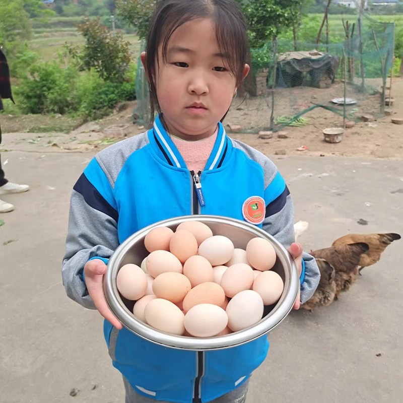 土鸡蛋农家散养新鲜自养土鸡蛋，正宗月子蛋包邮，宝妈们的福音！✨