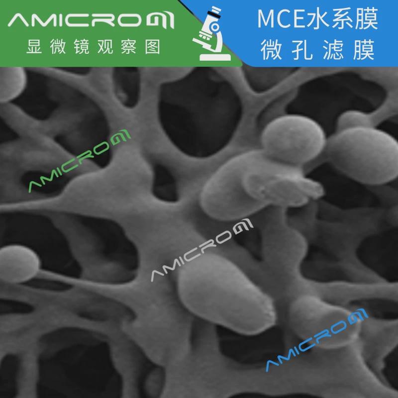 过滤膜水系和有机系区别？选错直接翻车！新手必看