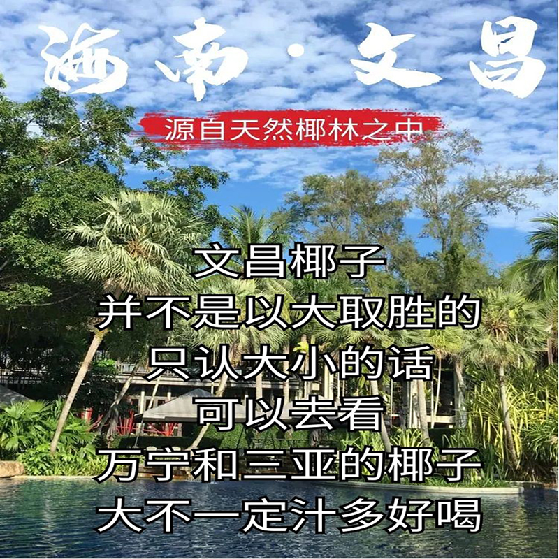 正宗海南椰子：热带风情的纯天然美味，孕妇也能安心享用的天然果汁！