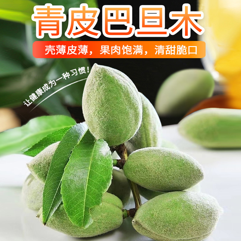 新鲜巴旦木青皮原味：当季坚果界的明星，孕妇也能放心享受的美味！