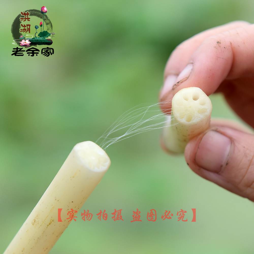 湖北洪湖新鲜藕带，尝鲜就趁现在！