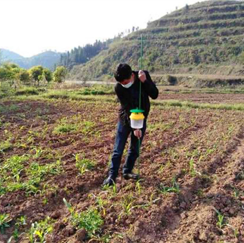 草地贪夜蛾性引诱剂能否有效防治2026年的农业害虫?