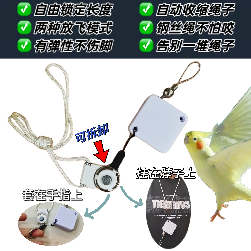 鹦鹉牵引绳自动伸缩脚环放飞绳不伤脚外出飞行遛鸟神器，让你的牡丹玄凤自由飞翔！