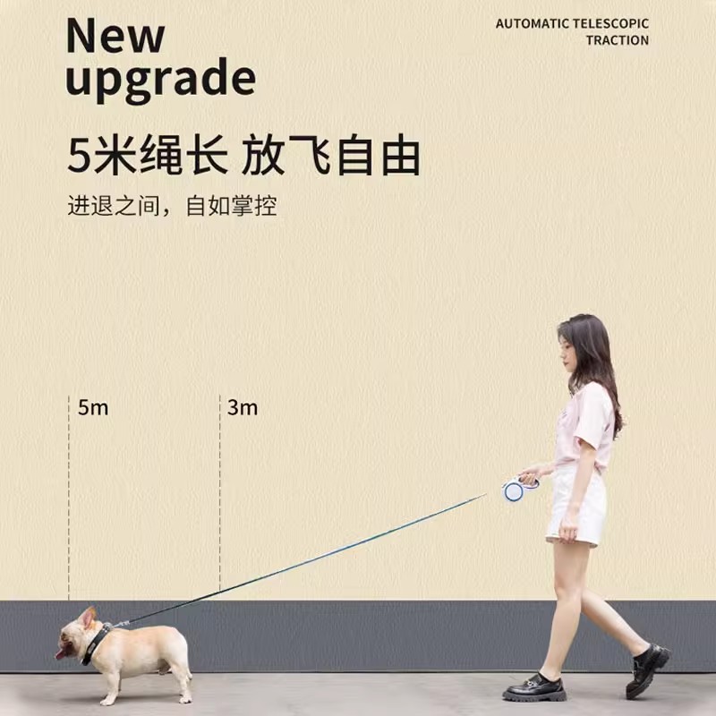 狗狗牵引绳&amp;狗绳子：如何为你的泰迪或小型犬选择完美的遛狗链子和胸背带？