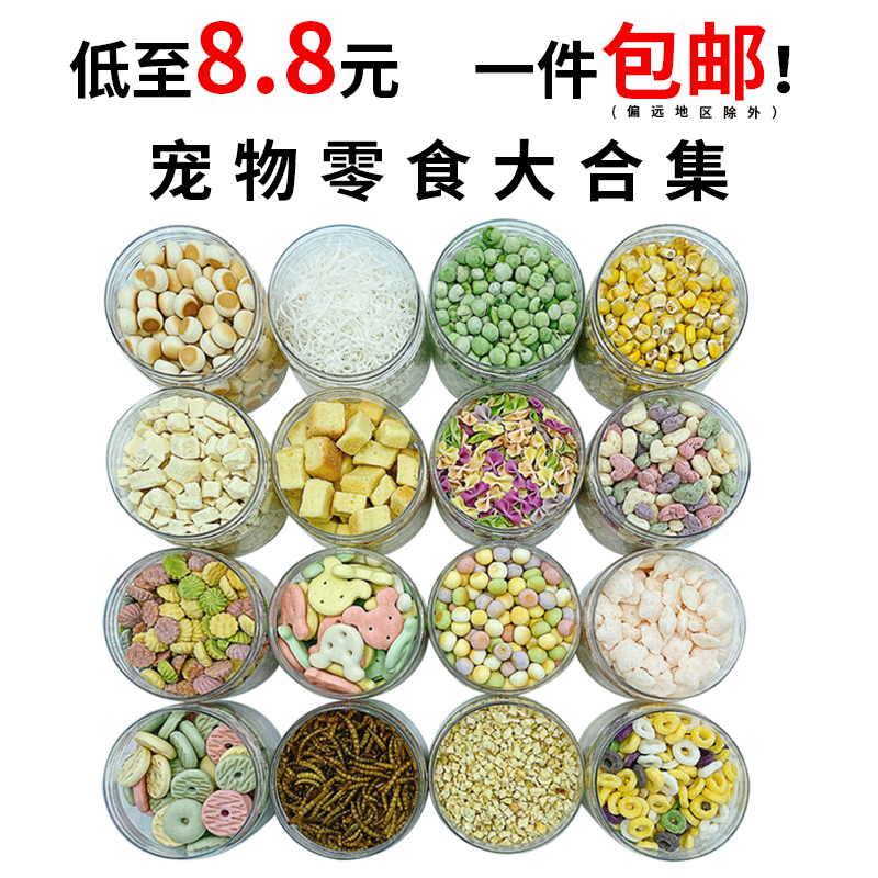 仓鼠零食大揭秘：磨牙健齿洁齿补钙，让小宠物健康成长的秘密武器！