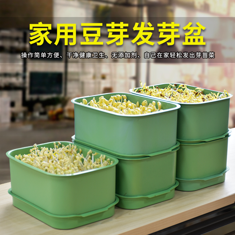 发豆芽神器来袭！非转基因绿豆，水培发芽轻松做，健康又美味