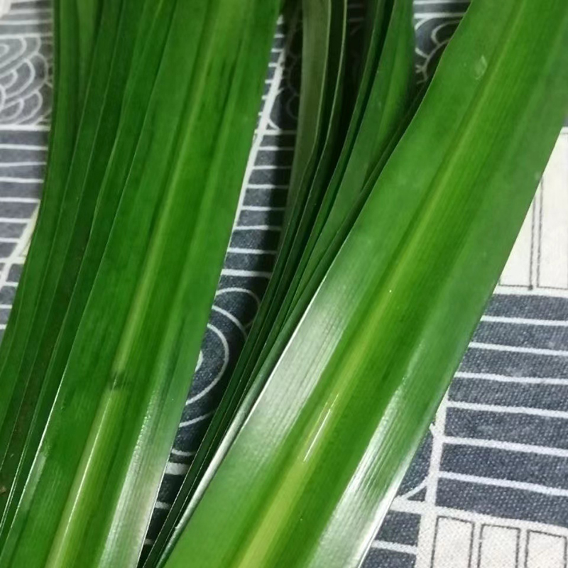 斑斓叶新鲜食用香兰叶班兰叶商用500g：解锁东南亚美食的秘密武器！