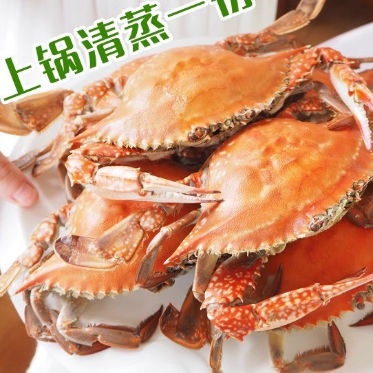 6斤全母梭子蟹，连云港新鲜急冻，肥美香辣，让你大呼过瘾！