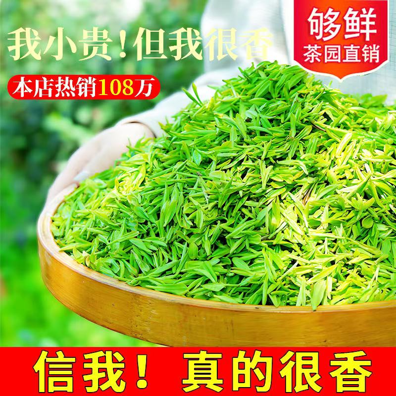 信阳毛尖2025新茶：明前特级嫩芽，高山初芽的浓香诱惑！