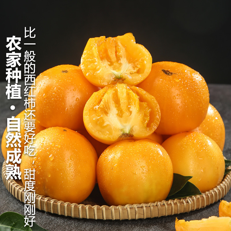 内蒙五原大黄柿子：当季自然熟的甜蜜诱惑番茄界的黄金果实！