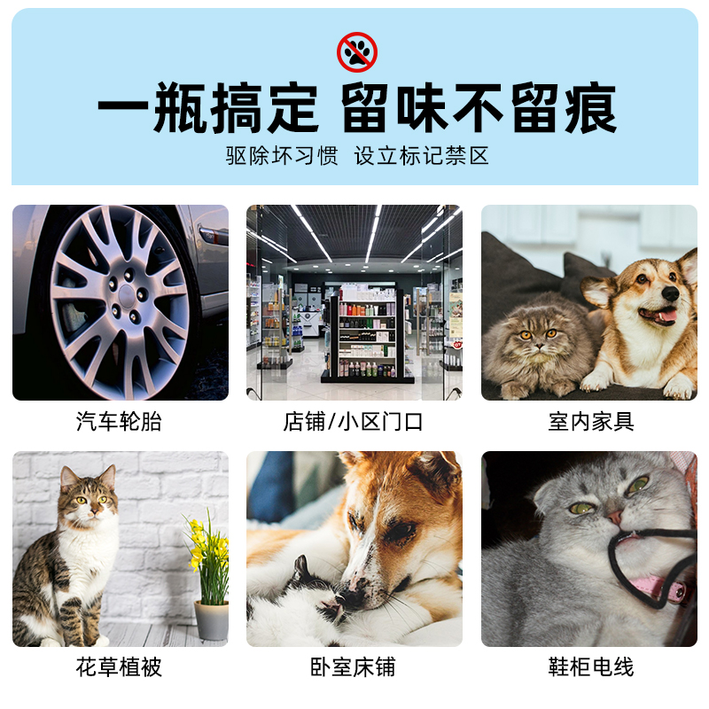 驱猫神器大揭秘！橘子味防猫咪上床神器，宠物喷剂轻松搞定！