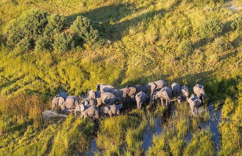 elephant sands,Elephant Sands: A Desert Paradise Unveiled