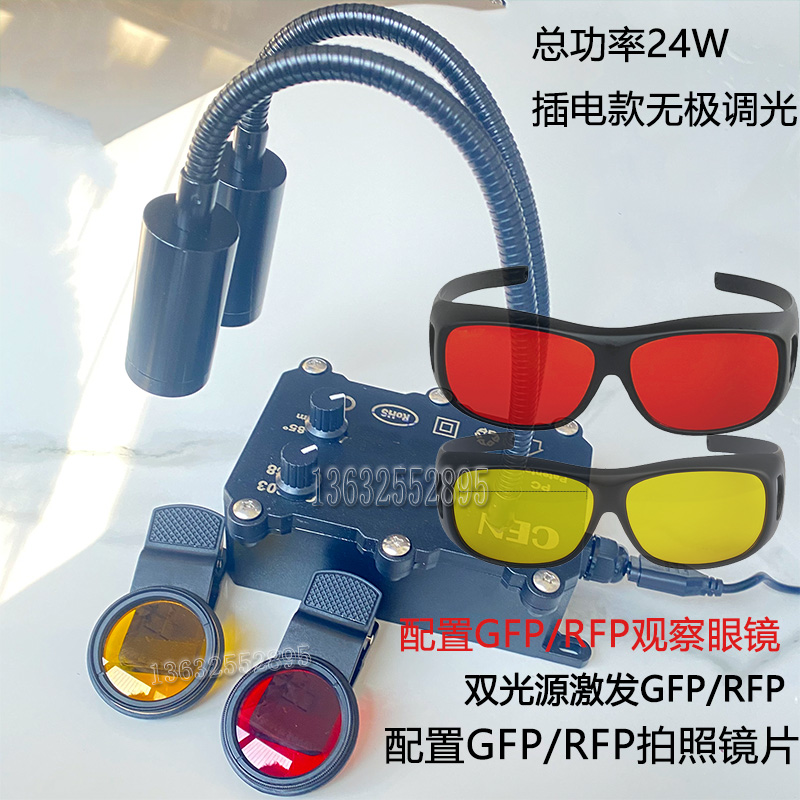 激发EGFP蓝光488NM绿色光 RFP mCherry荧光蛋白激发 双色光源：科研界的“双色舞者”！