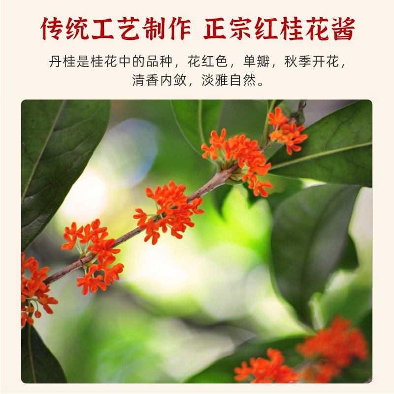 周文波红桂花蜜怎么挑选？2026年的最新购买攻略？