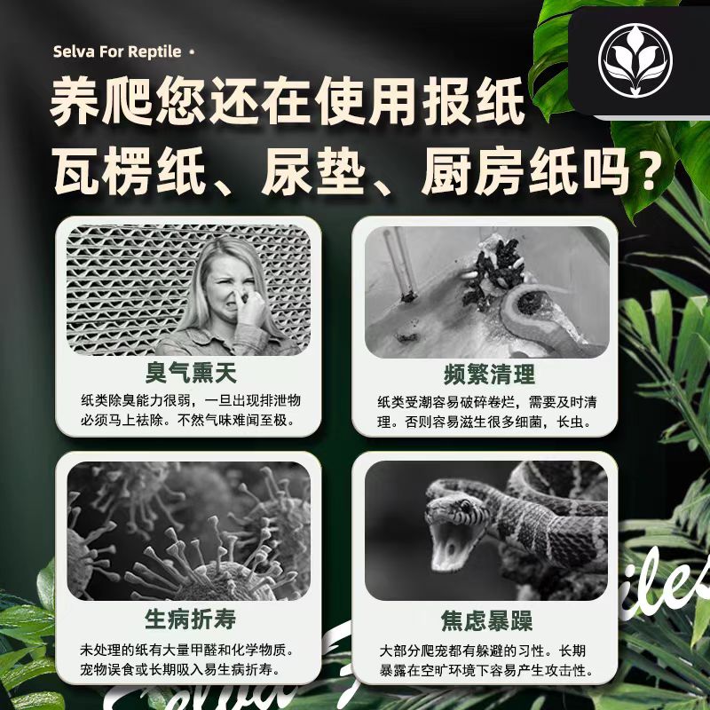 丛林代码爬宠垫材真香预警！腐殖土垫料居然这么绝？养龟养鼠必备！