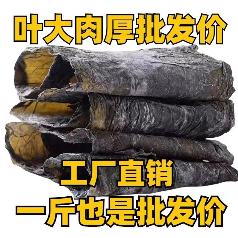 滩之涂霞浦海带头：福建特产，软糯鲜香，火锅凉拌两相宜！