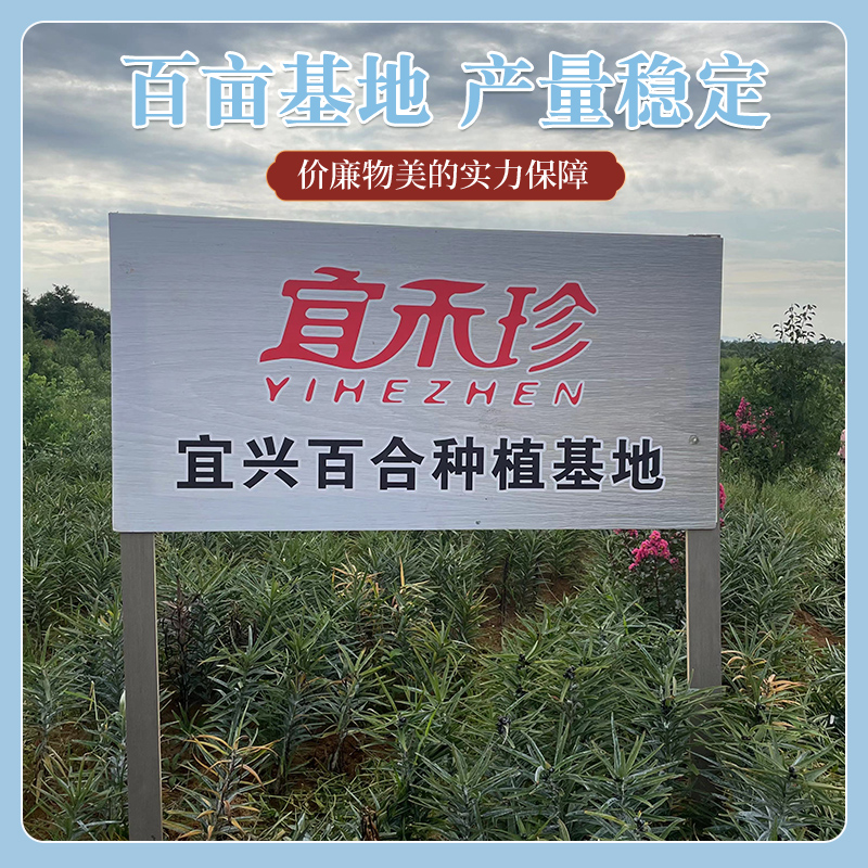宜兴2024新百合大食用白鲜土5斤特级！江苏生特产真香预警！这波不买亏哭
