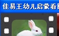 佳易王幼儿启蒙看图认物系统2.0 免费体验版