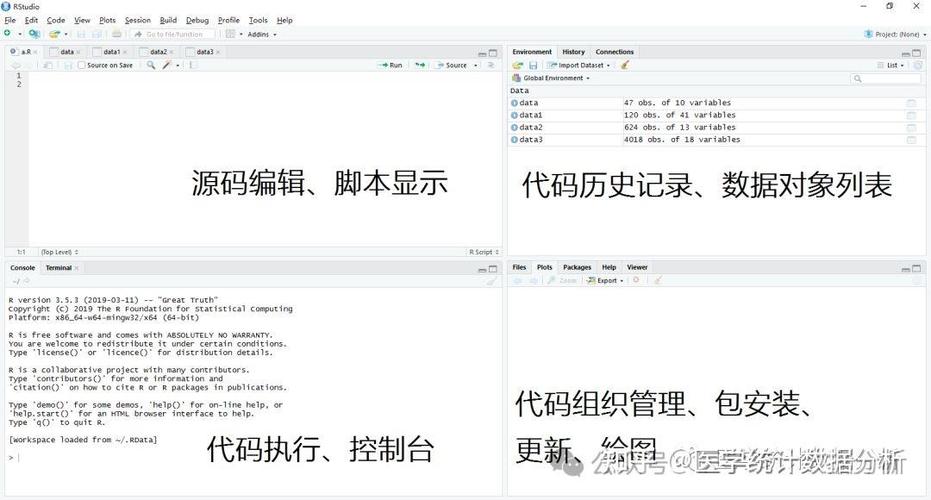 r语言ide,R语言IDE的选择与应用指南