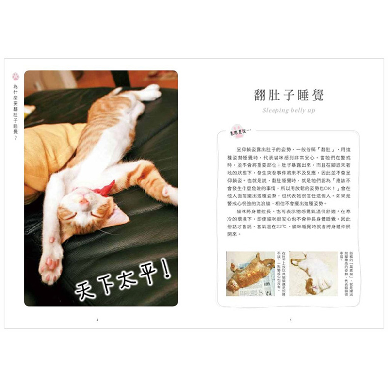 猫语翻译器真香预警！这波不买亏大了！猫咪说啥我全懂