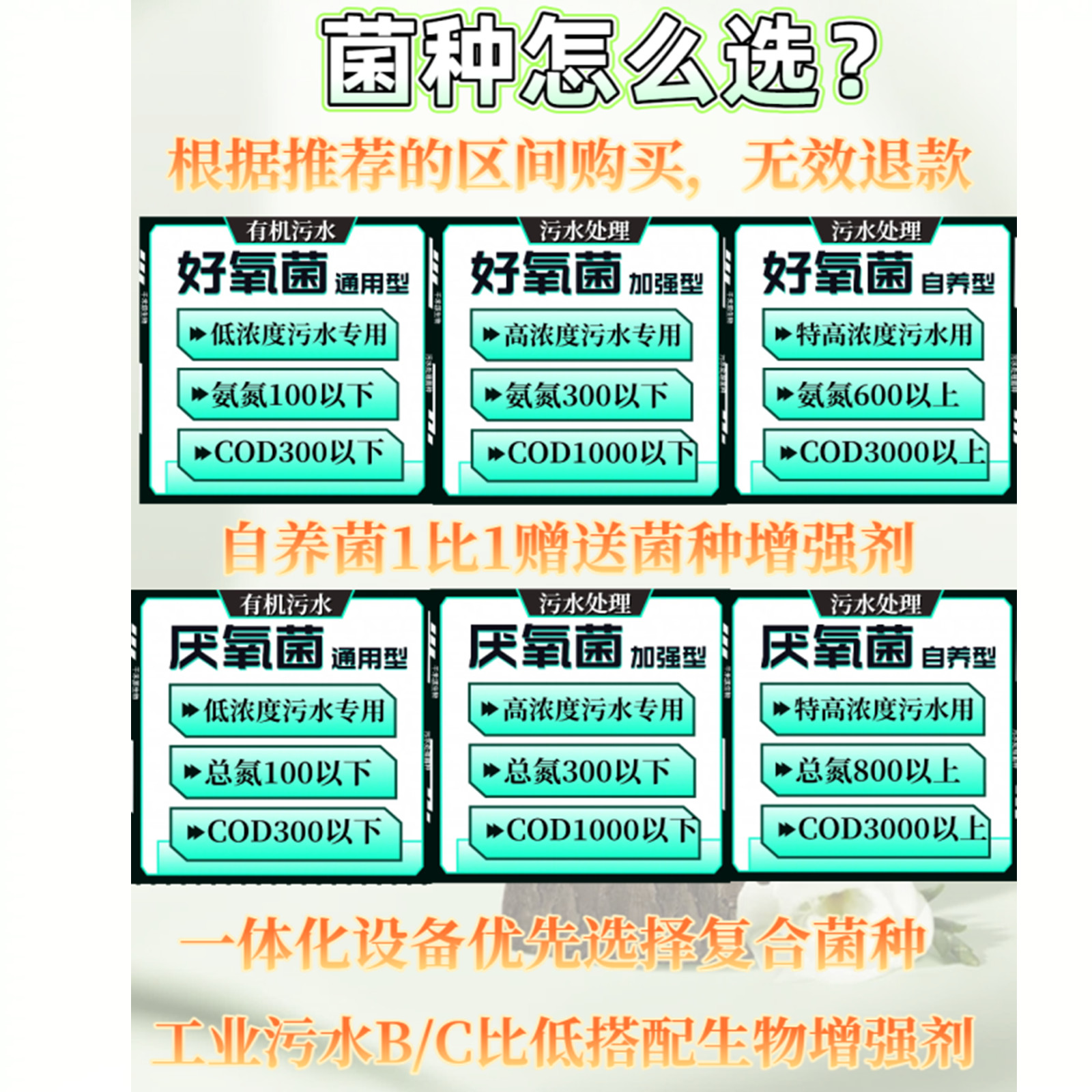 微生物菌种污水处理一体化设备调试：激活好氧菌，高效去除COD与氨氮的秘密武器！