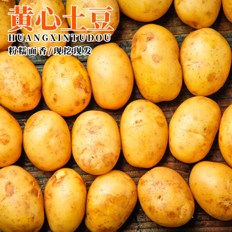 陕西黄心粉面土豆：农家自种新鲜现挖，口感绝佳，营养满满！✨