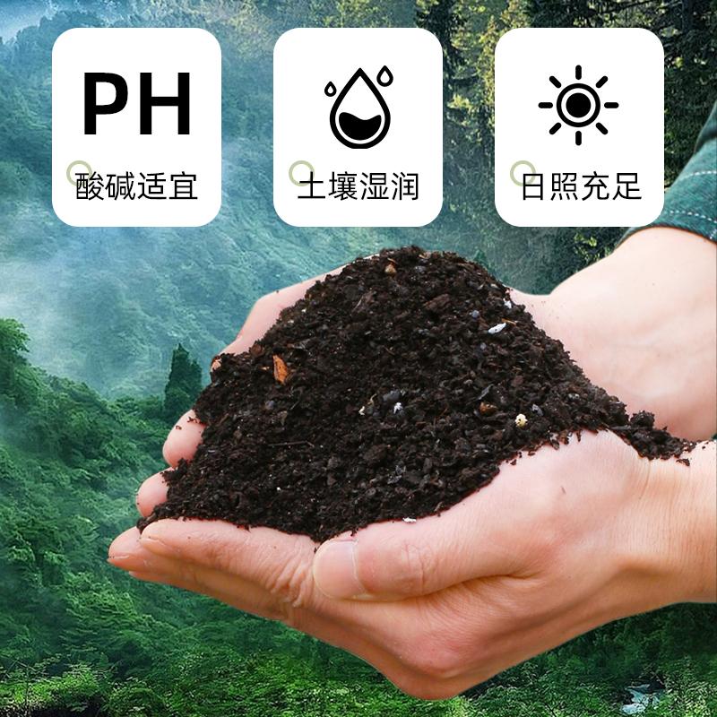 坦克300/400/500/HI4-T14段软硬可调减震器：越野升级新姿势，解锁高原驾驶新体验！