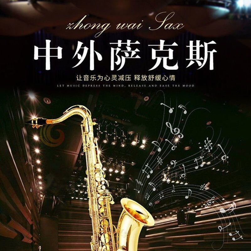 ZS101穆勒菲林48首萨克斯练习曲：开启你的音乐之旅，成为下一个萨克斯大师！