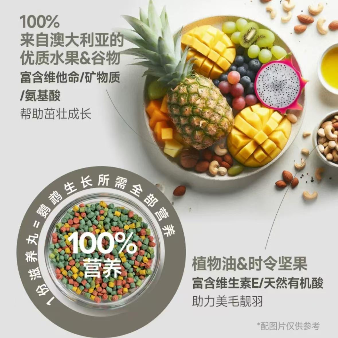兽医推荐：滋养丸水果坚果吸蜜粉拉美合成粮，让牡丹玄凤鹦鹉享受美食盛宴！