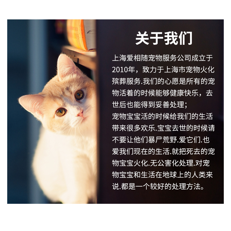 宠物善终无忧，24小时上门服务，让爱宠安乐离世不留遗憾ペット