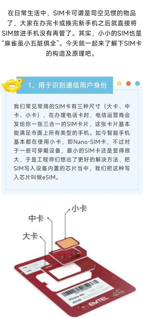 手机写字怎么格式化内存卡,手机内存卡格式化，你真的了解吗？