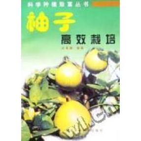 柚子爸的真实姓名是什么？揭秘背后的故事