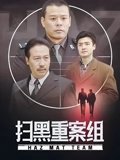 扫黑重案组